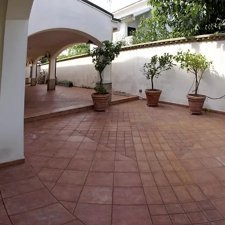 Il Veliero E I Girasoli