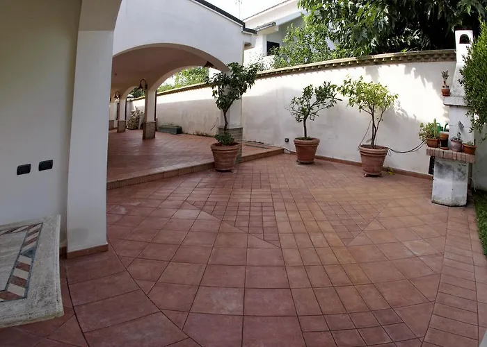 Il Veliero E I Girasoli